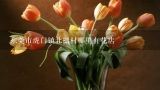 东莞市虎门镇北栅村哪里有花店,吉林省榆树市有鲜花配送的花店吗？