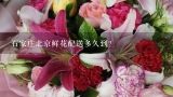石家庄北京鲜花配送多久到？北京最好的鲜花网站是哪个呀？价格不要太贵了