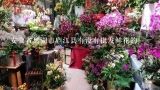 安徽省巢湖市庐江县有没有批发鲜花的,庐江泥河镇有没有鲜花卖？