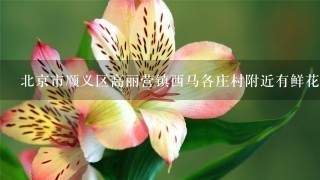 北京市顺义区高丽营镇西马各庄村附近有鲜花配送吗？