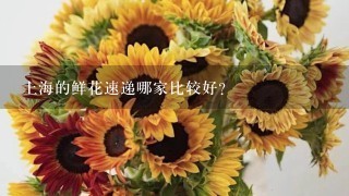 上海的鲜花速递哪家比较好？
