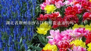 湖北省荆州市沙市区有鲜花速递的吗?
