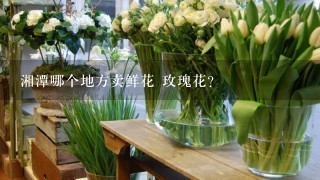 湘潭哪个地方卖鲜花 玫瑰花？