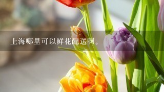 上海哪里可以鲜花配送啊。