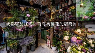 成都郫县红光目前有卖鲜花的店吗？