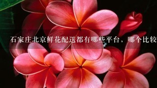 石家庄北京鲜花配送都有哪些平台，哪个比较便宜的？