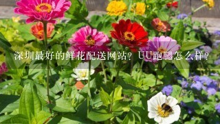 深圳最好的鲜花配送网站？UU跑腿怎么样？