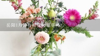 岳阳1月份有鲜花向日葵吗?