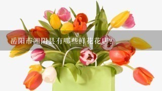 岳阳市湘阴县有哪些鲜花花店？