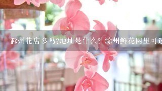 滁州花店多吗?地址是什么？滁州鲜花网里可选择的样品多吗?