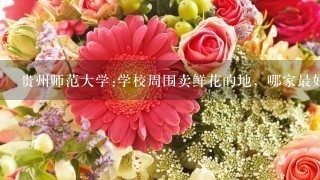 贵州师范大学:学校周围卖鲜花的地，哪家最好?
