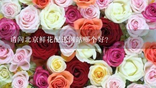 请问北京鲜花配送网站哪个好？