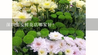 深圳宝安鲜花店哪家好?