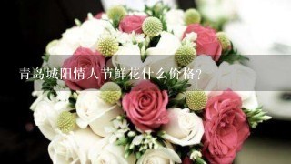 青岛城阳情人节鲜花什么价格？