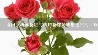 请问潍坊鲜花店的鲜切花都是哪里进货的，玫瑰花，百合，绣球，洋菊埂之类的！
