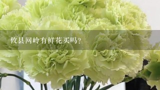 攸县网岭有鲜花买吗?