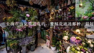 上海市内免费送花的，要鲜花速递那种，最好有联系方