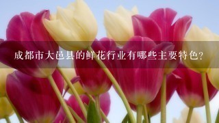 成都市大邑县的鲜花行业有哪些主要特色?